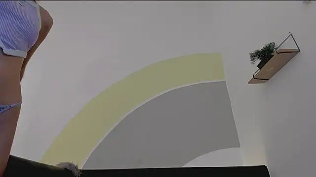 Zamu 1992 online show from 17, 4, 2026