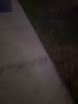 Snapshot of MynameisPaco chatting on 20, 12, 2025 MynameisPaco online show from 20, 12, 2025