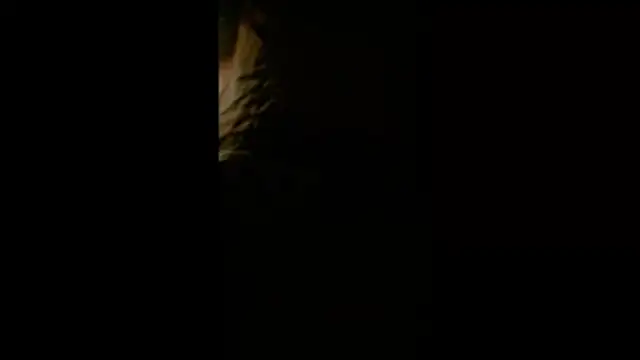TweakyDude online show from 8, 7, 2026
