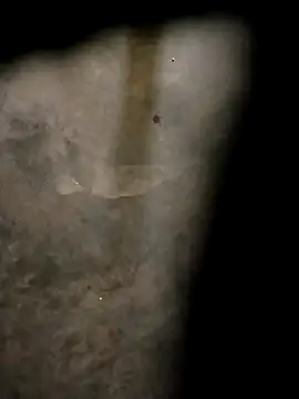 Snapshot of Yasha_14C_Creator chatting on 31, 10, 2025 Yasha 14C Creator online show from 31, 10, 2025