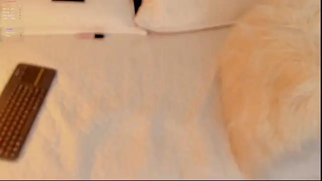 FabianPriince online show from 14, 1, 2025