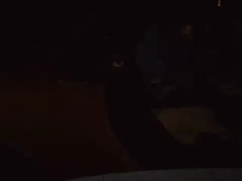 0815lukas2024 online show from 16, 1, 2025