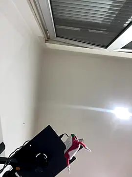 Snapshot of Kamaleonix chatting on 16, 12, 2025 Kamaleonix online show from 16, 12, 2025