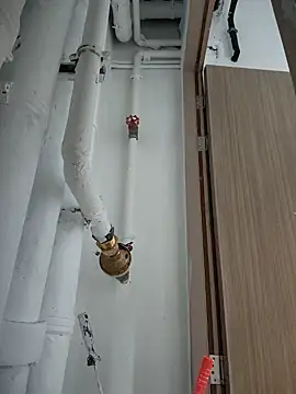 Snapshot of 2tomka52052sex chatting on 8, 1, 2025 2tomka52052sex online show from 8, 1, 2025