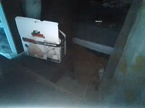 rubiomdz online show from 15, 1, 2025