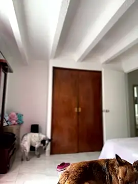 Salome golvert online show from 9, 1, 2026