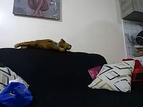 Snapshot of hoely_grail01 chatting on 5, 12, 2025 hoely grail01 online show from 5, 12, 2025