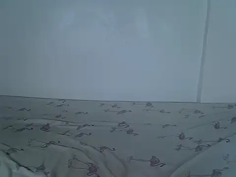 laetitia  online show from 11, 11, 2025