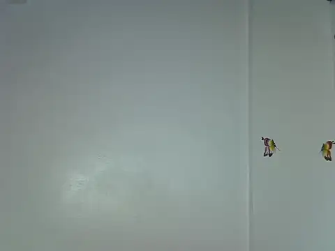 laetitia  online show from 15, 1, 2026