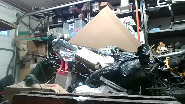 tongueispowerr6d9 online show from 10, 12, 2024