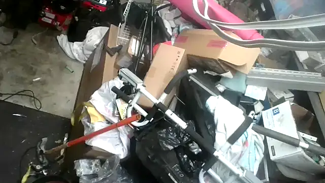 tongueispowerr6d9 online show from 16, 1, 2025