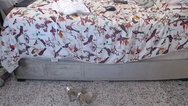 daniela starks online show from 12, 3, 2026