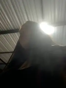 Snapshot of aliensexy chatting on 25, 12, 2024 aliensexy online show from 25, 12, 2024