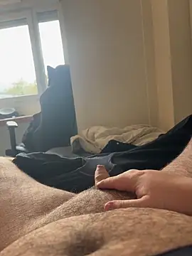 aquarium2345 online show from 2, 11, 2025