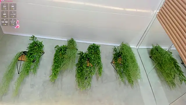 Lana Lann online show from 11, 1, 2025