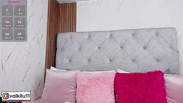 Snapshot of valkilu11 chatting on 13, 2, 2026 valkilu11 online show from 13, 2, 2026