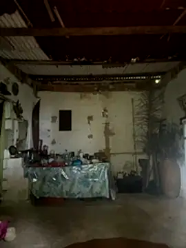 amy gata online show from 15, 11, 2025