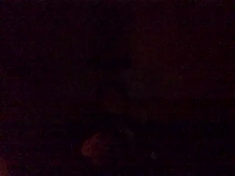 Snapshot of DragonPink chatting on 24, 12, 2024 DragonPink online show from 24, 12, 2024