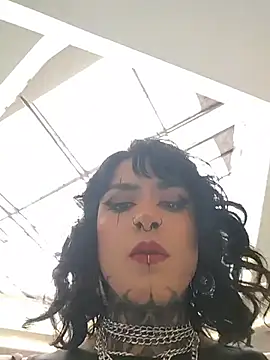 taaylor33 online show from 29, 7, 2026