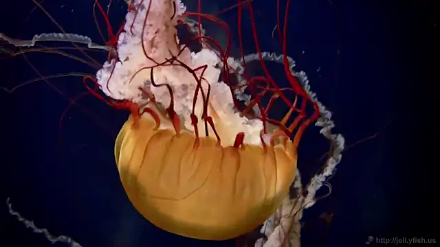 Snapshot of streamy_test13 chatting on 3, 2, 2025 streamy test13 online show from 3, 2, 2025