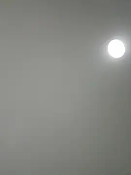 Snapshot of Amber_Rush_ chatting on 8, 9, 2025 Amber Rush online show from 8, 9, 2025