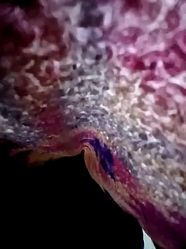 Snapshot of morenogts69 chatting on 24, 10, 2025 morenogts69 online show from 24, 10, 2025