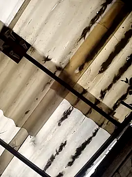 weedmanhot28 online show from 2, 11, 2025