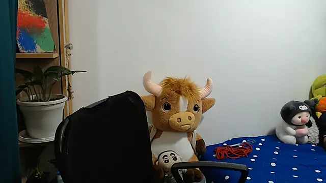 SWEETT CORY online show from 29, 6, 2026