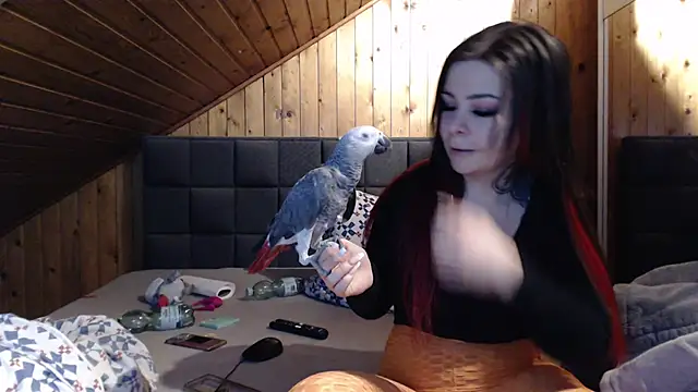 Snapshot of BoeseMoni1998 chatting on 22, 2, 2025 BoeseMoni1998 online show from 22, 2, 2025