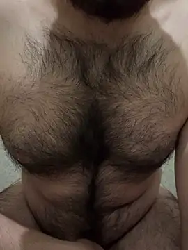 Samarth 0081 online show from 19, 1, 2025