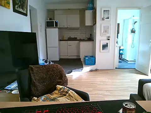 mihaimichael online show from 11, 5, 2026