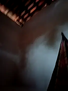 PIKAdePAU27 online show from 24, 12, 2024