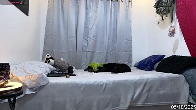 Snapshot of alejo_cute chatting on 6, 10, 2025 alejo cute online show from 6, 10, 2025