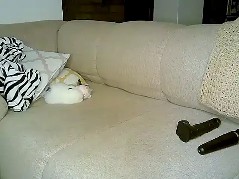 Snapshot of ebony_spicy69 chatting on 3, 10, 2025 ebony spicy69 online show from 3, 10, 2025