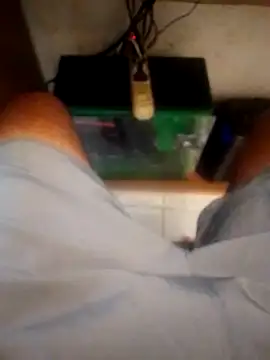 betinhodelas online show from 18, 10, 2025