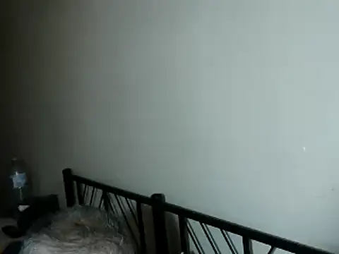 100Tauros online show from 2, 11, 2025