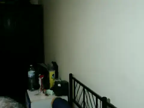 100Tauros online show from 24, 2, 2026