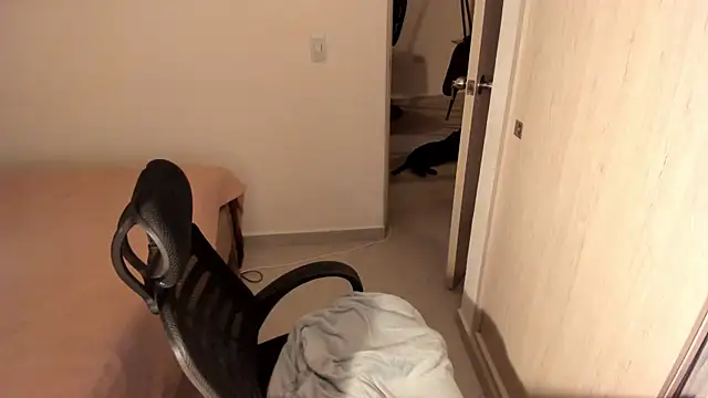 misstoya online show from 9, 7, 2026