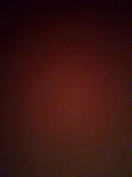 Snapshot of mendelicius chatting on 25, 2, 2025 mendelicius online show from 25, 2, 2025