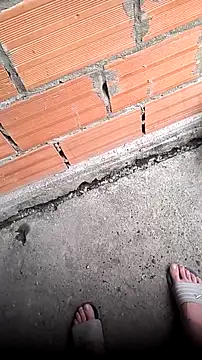 mendelicius online show from 11, 4, 2026