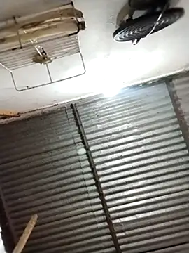 Andreita 95 online show from 1, 3, 2026