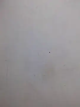 AmnionicDemeanor online show from 31, 10, 2025