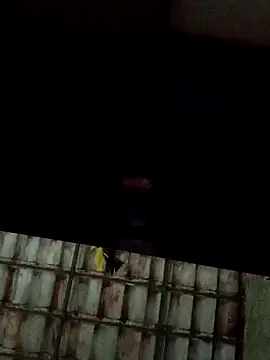 dantaradinho online show from 31, 1, 2025