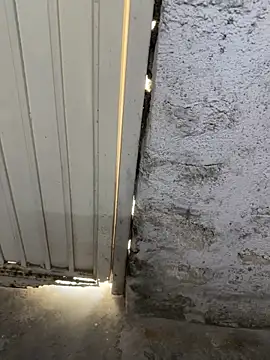 elber-gdo online show from 13, 10, 2025