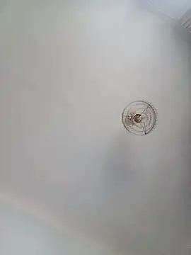 katymojadit online show from 20, 1, 2025