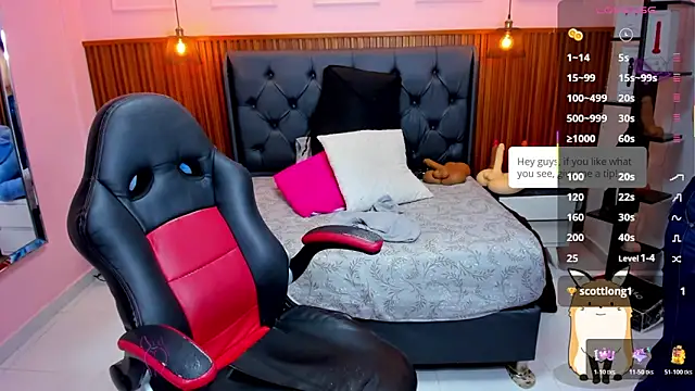 Snapshot of MEYLAGIA chatting on 17, 1, 2026 MEYLAGIA online show from 17, 1, 2026