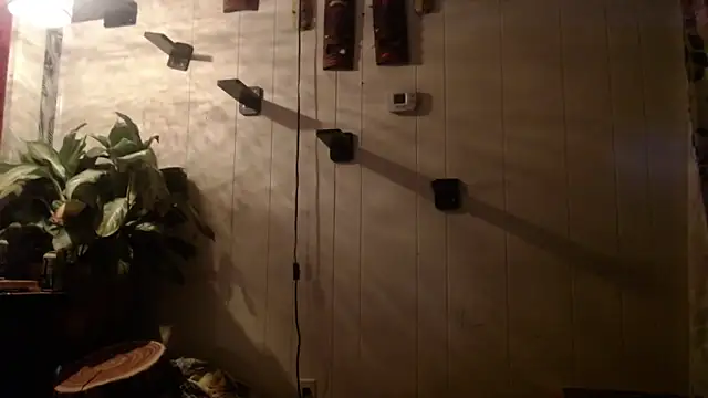 Snapshot of UnCuTupTheBuTT chatting on 16, 11, 2025 UnCuTupTheBuTT online show from 16, 11, 2025