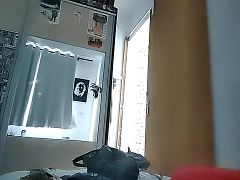 Binhosex2024 online show from 12, 3, 2025