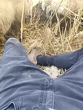 Snapshot of murokkk31 chatting on 29, 10, 2025 murokkk31 online show from 29, 10, 2025