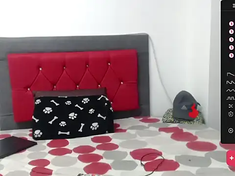 trebollhht online show from 29, 12, 2024